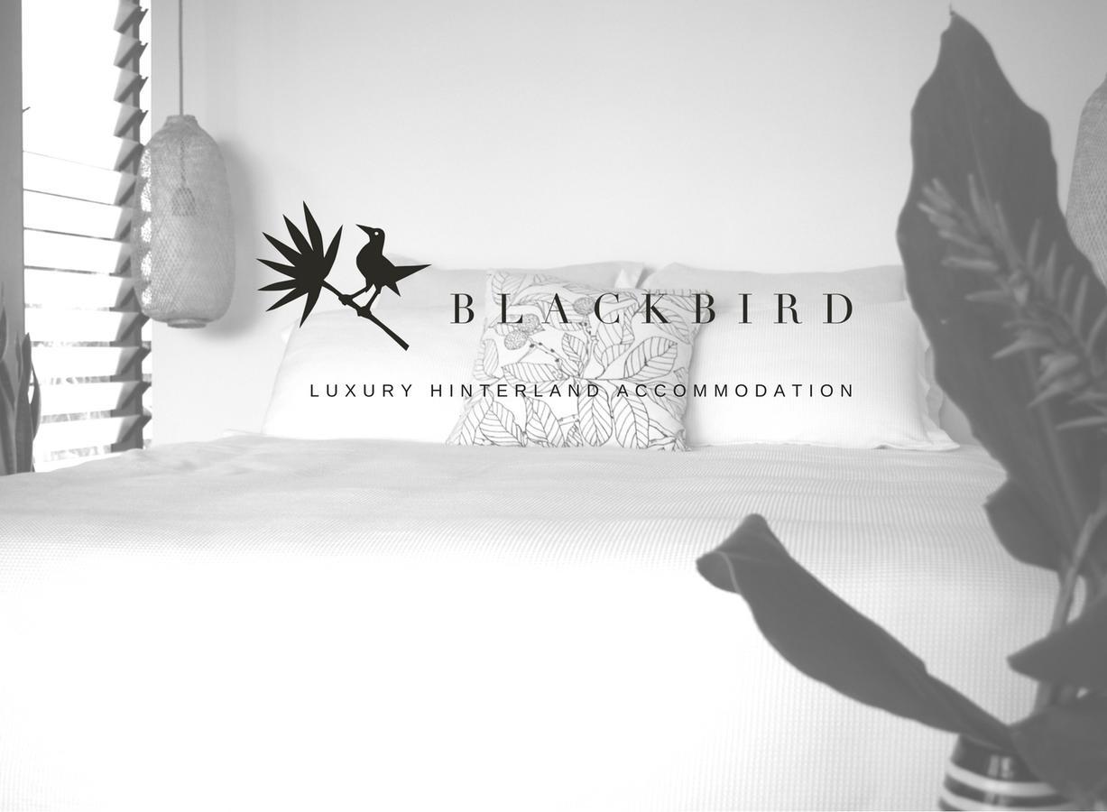 Blackbird Luxury Accommodation Mullumbimby Luaran gambar