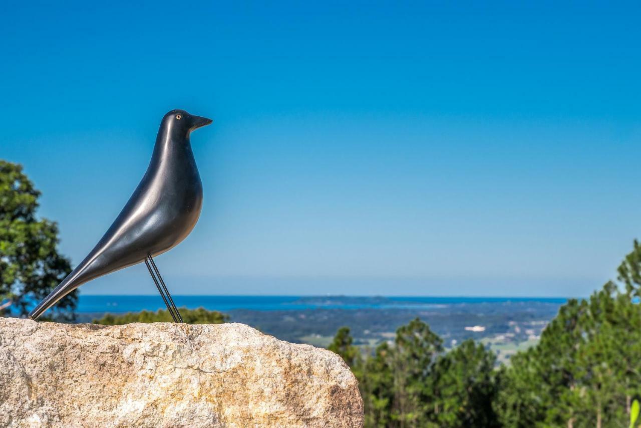 Blackbird Luxury Accommodation Mullumbimby Luaran gambar